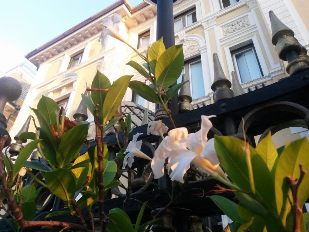 Ena Hotel Arenzano Bagian luar foto